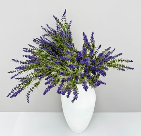 Лаванда Бичвуд Блю высокая