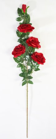 Роза Звездочет 4 цветка 1 бутон