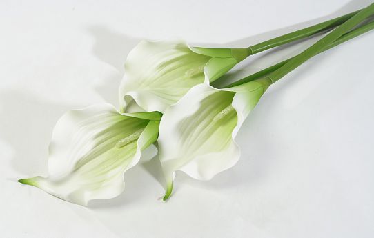 Цветок калла от магазина KALINA являющийся официальным дистрибьютором в России 