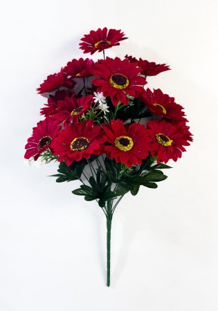 Бархатная гербера 18 цветков
