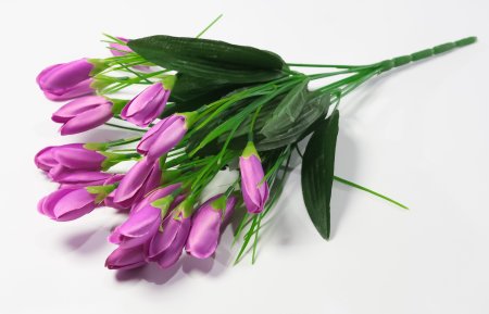 Крокус 21 цветок