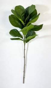 картинка Ветка лирата 13 листов от магазина KALINA