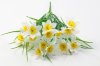 Букет нарцисса 15 цветков