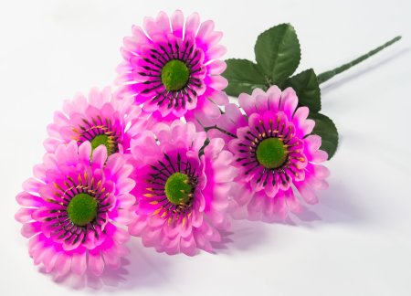 Букет ромашек "Паприка" 5 цветков