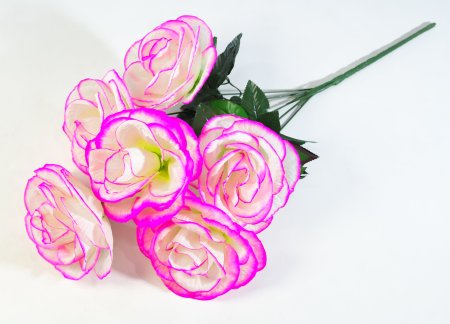 Букет роз Великан 6 цветков