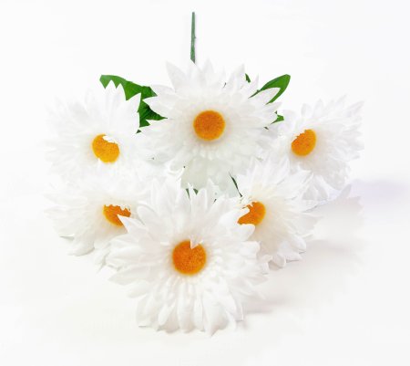 Ромашка "Белая дама" 6 веток