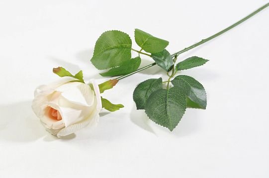 Роза с латексным покрытием "Ла Перла" от магазина KALINA являющийся официальным дистрибьютором в России 