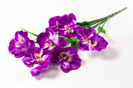 Букет орхидеи 10 веток 10 цветков