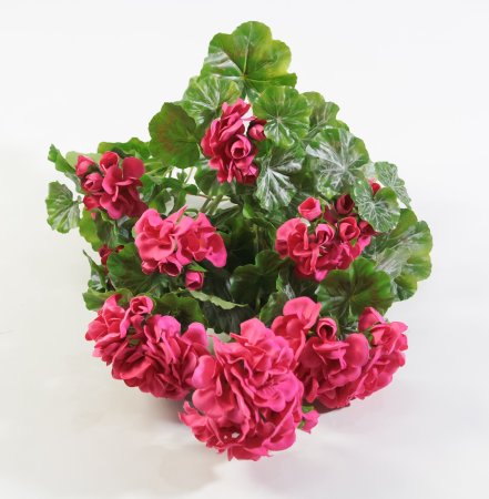 Ветка герани малиновая