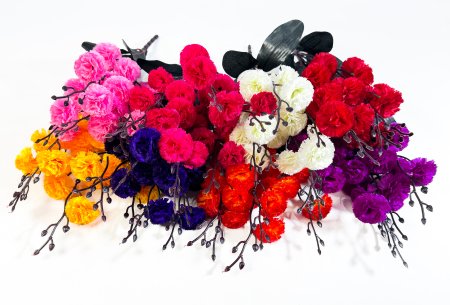 Гвоздика "Осень" 20 цветков