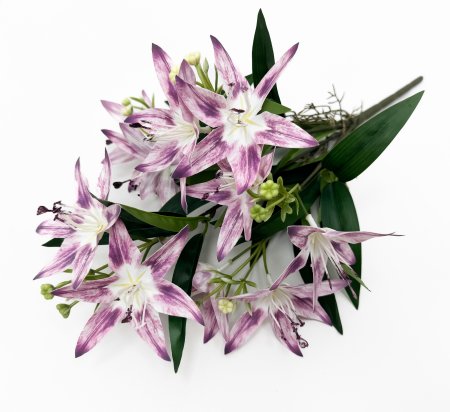 Лилия с корнями (Возможно отгрузить по расцветкам)