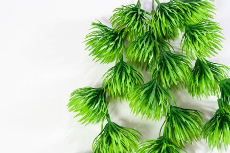 картинка Декоративная ампельная зелень 2 от магазина KALINA