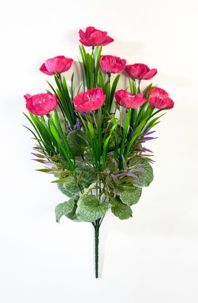 Мак садовый 9 цветков