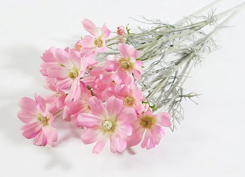 Ветка космеи светло-розовая от магазина KALINA являющийся официальным дистрибьютором в России 