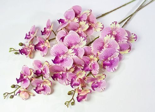Ветка орхидеи 36 от магазина KALINA являющийся официальным дистрибьютором в России 
