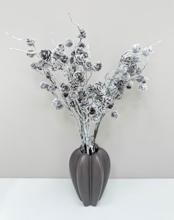 Ветка с еловыми шишками