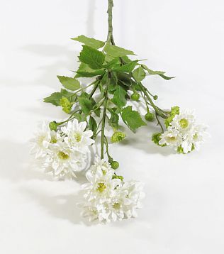 Ветка хризантемы кустовой белой от магазина KALINA являющийся официальным дистрибьютором в России 