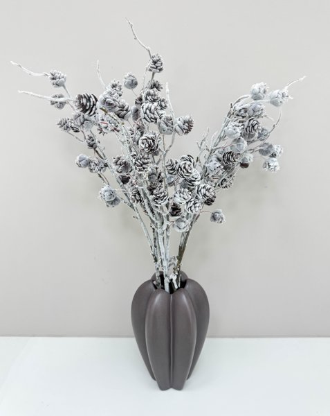 Ветка с еловыми шишками