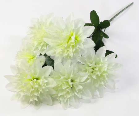 Шафран "Звезда малая" 6 веток