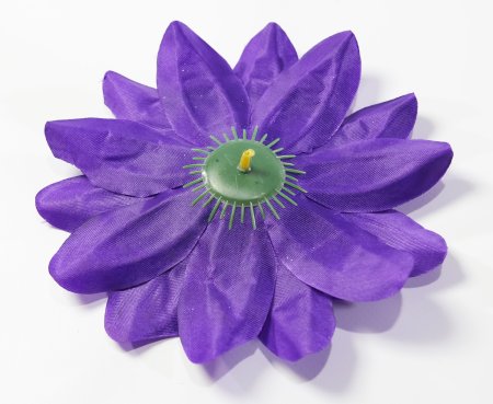 Насадка георгина Глазки