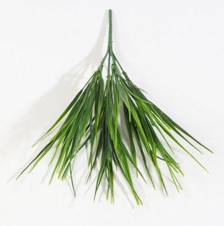 картинка Осока Острая 7 веток 35 листов от магазина KALINA