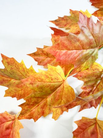 картинка Ветка клена с желтым листом от магазина KALINA