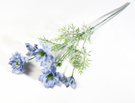 Клематис голубой