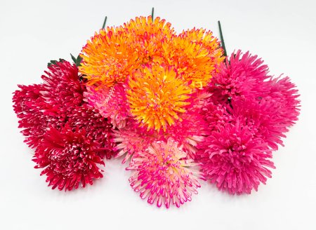 Астра Энигма 6 цветков