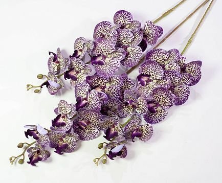 Ветка орхидеи 31 от магазина KALINA являющийся официальным дистрибьютором в России 