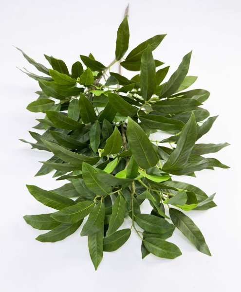 картинка Манго ветка большая от магазина KALINA