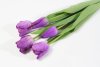 Тюльпан с латексным покрытием фиолет (12 букетов по 5 шт)