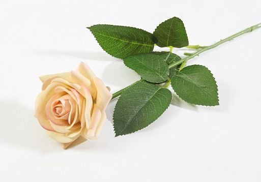 Роза с латексным покрытием открытая персик от магазина KALINA являющийся официальным дистрибьютором в России 