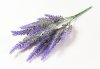 Букет лаванды 5 веток
