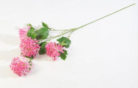 Калина Бульденеж пластик малиновая