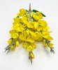 Гладиолус Великан