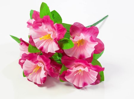 Петуния 7 веток