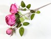 Ветка пионовидной розы Рояль розовая