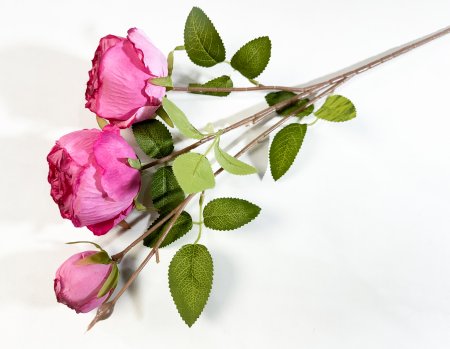 Ветка пионовидной розы Рояль розовая