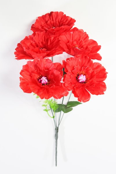 Георгин "Августа" 5 цветков