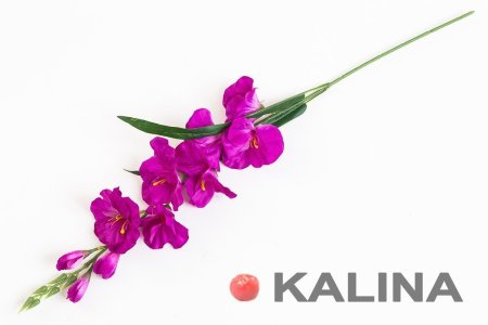 Ветка гладиолуса маленькая 7 цветков 3 бутона