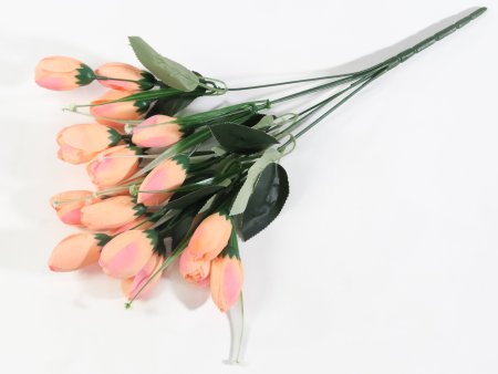 Крокус 18 цветков