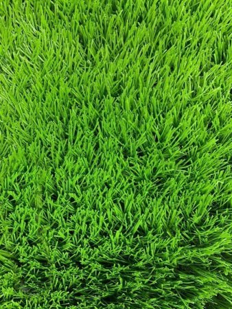 картинка Рулонный искусственный газон 25 мм от магазина KALINA