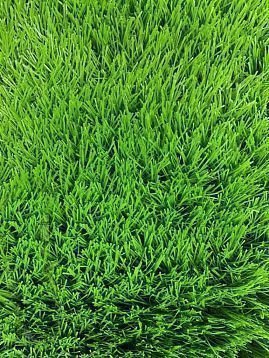 картинка Рулонный искусственный газон 25 мм магазин KALINA являющийся официальным дистрибьютором в России 