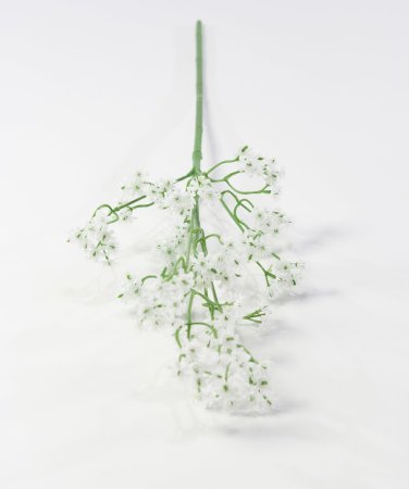 Гипсофила с тычикой