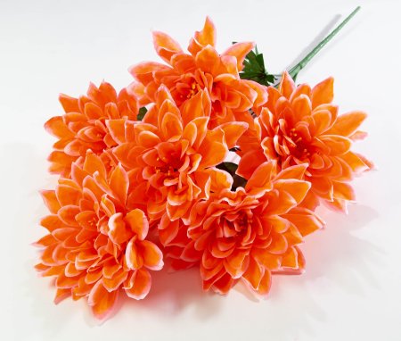 Георгин "Великан" 6 цветков