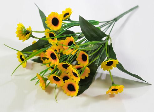 Ромашка "Эллиот" 24 цветка от магазина KALINA являющийся официальным дистрибьютором в России 