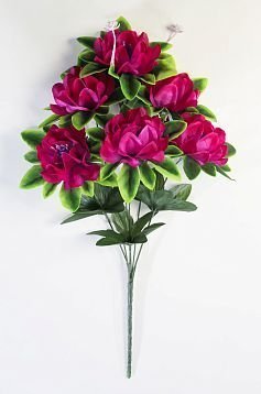Алексия 6 цветков от магазина KALINA являющийся официальным дистрибьютором в России 