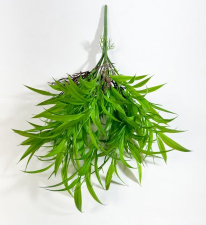 картинка Бамбук с корешками от магазина KALINA