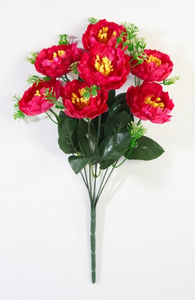 Букет пиона "Марусенька" 7 цветков