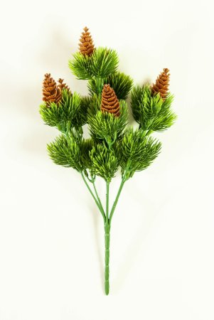 картинка Ветка с шишками от магазина KALINA